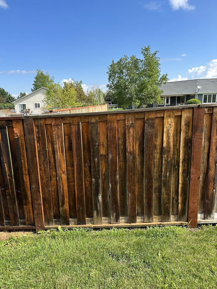 A cedar fence line cleaned back to fresh timber